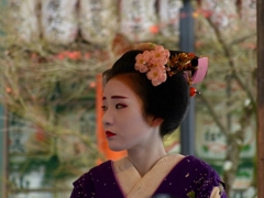 京都 八坂神社 美しい横顔