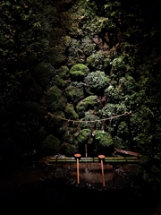京都 貴船神社 聖なる水の世界