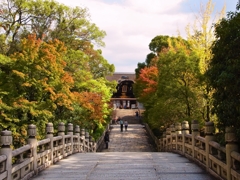 京都 初秋の参道