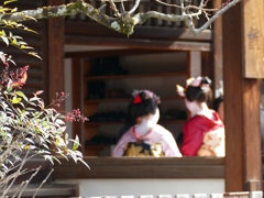 京都 八坂神社の節分
