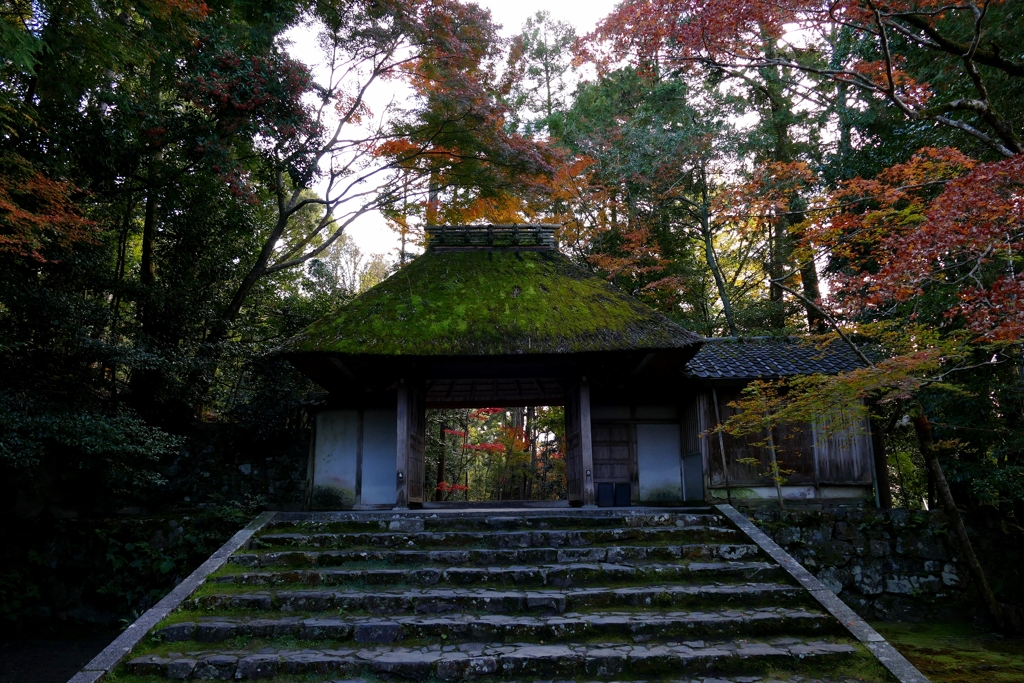 京都 法然院 もみじの絵作 II