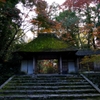 京都 法然院 もみじの絵作 II