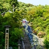 京都 三室戸寺 昇龍図