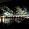 京都 嵐山 幻想的な光景