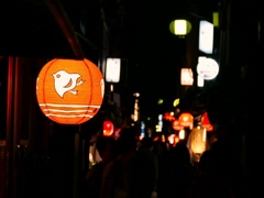 京都 先斗町の夜