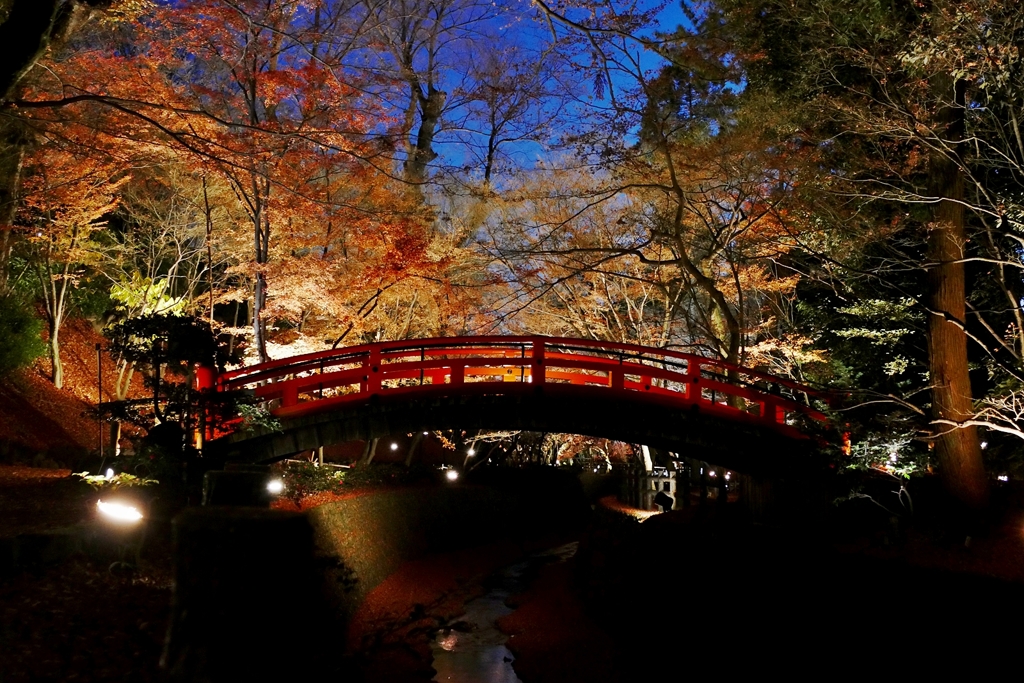 京都 北野天満宮 もみじ苑