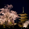京都 東寺 春夜の輝き