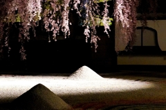 京都 高台寺 光と影