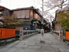 京都 祇園　桜