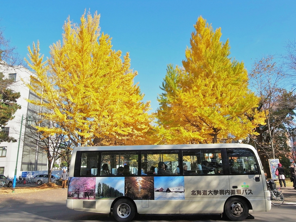 札幌 写真のとおりだ