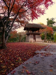 京都 正伝寺 深秋の鐘楼