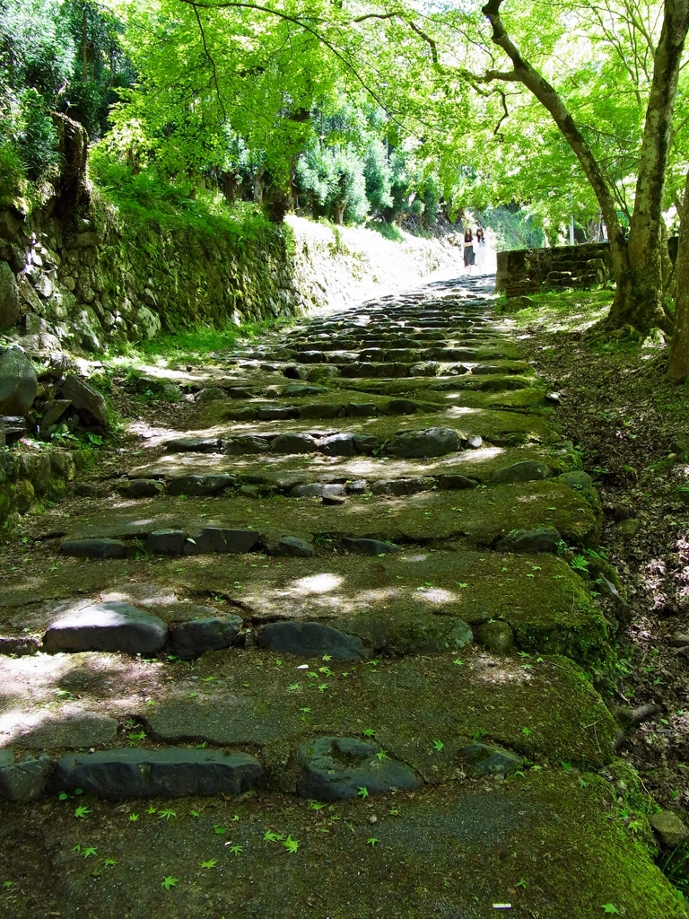 京都 新緑の階段