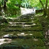 京都 新緑の階段