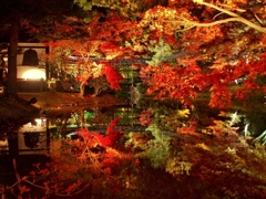 京都 高台寺　紅葉