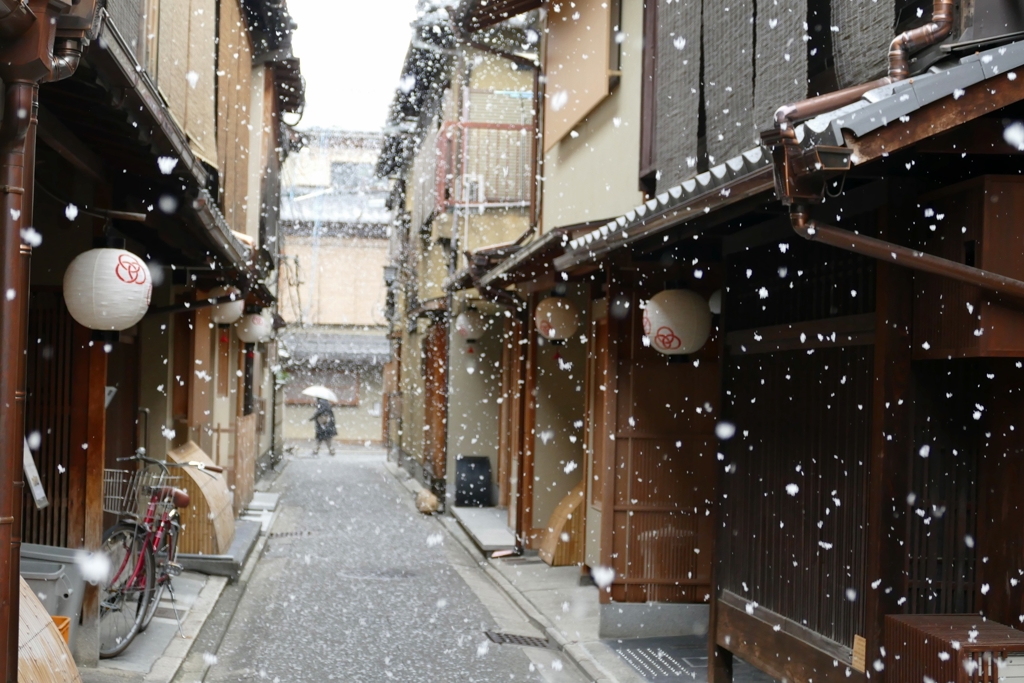 京都  雪の中の宮川町