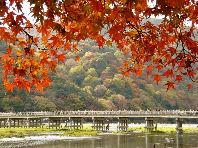 京都　嵐山　渡月橋