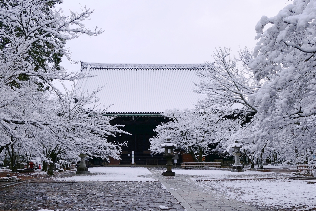 京都 雪景色 真如堂 I