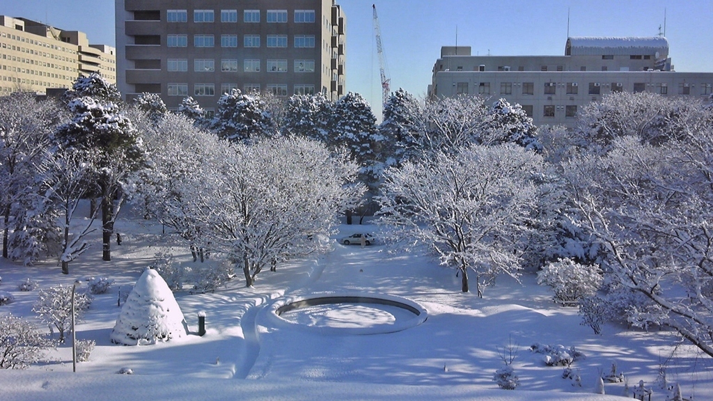 雪、 晴れになってきた