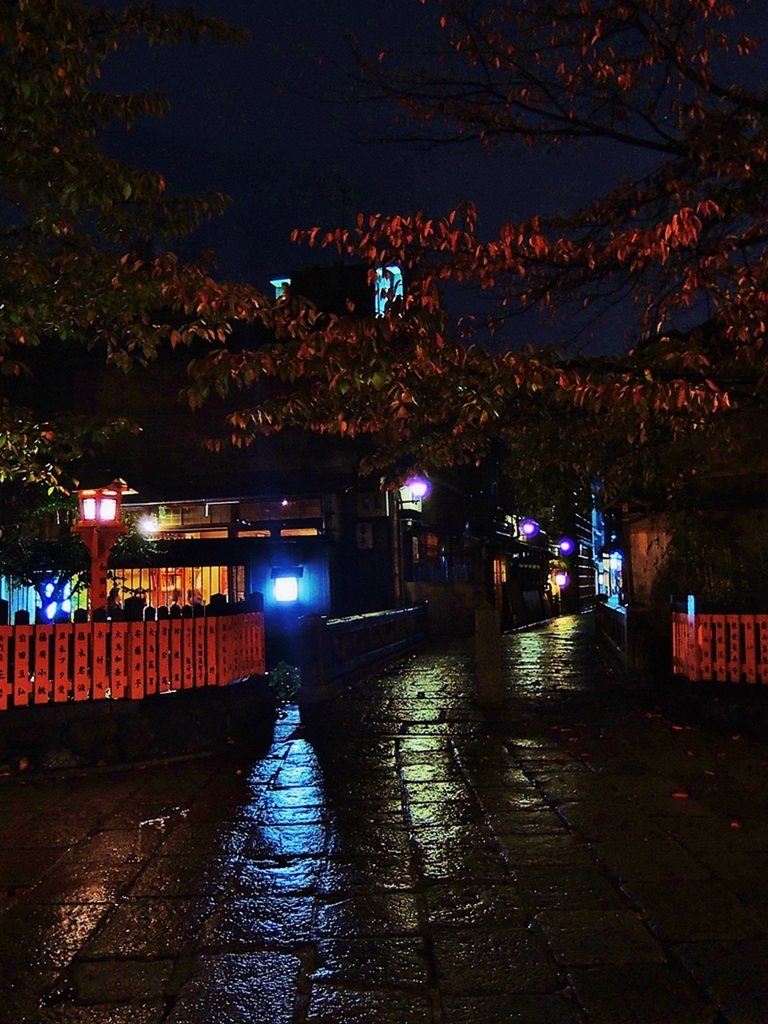 京都 雨の中の巽橋