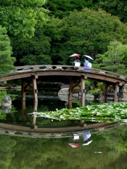 京都 渋成園 芸舞妓と日本庭園