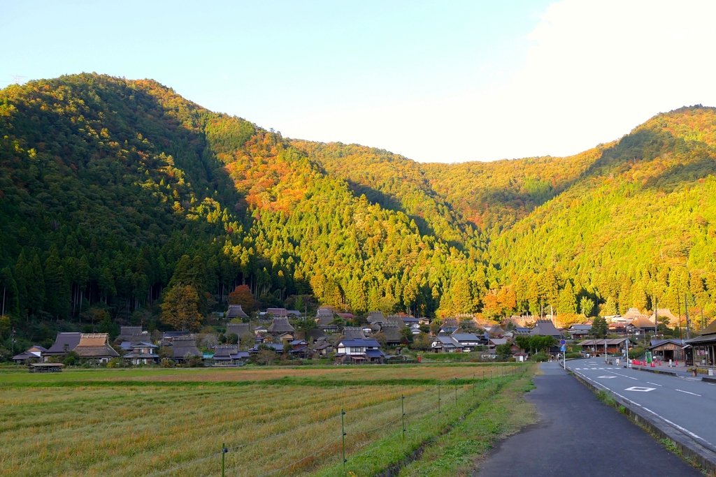 美山 秋の色付き