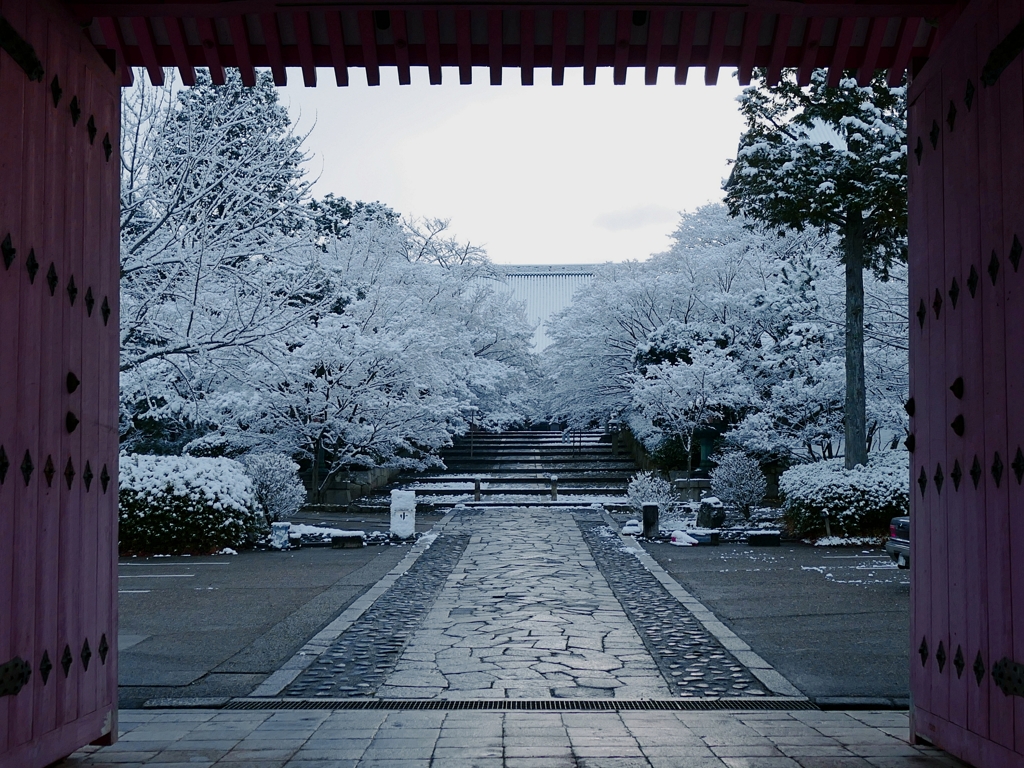 京都 真如堂 雪化粧