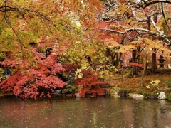京都 永観堂