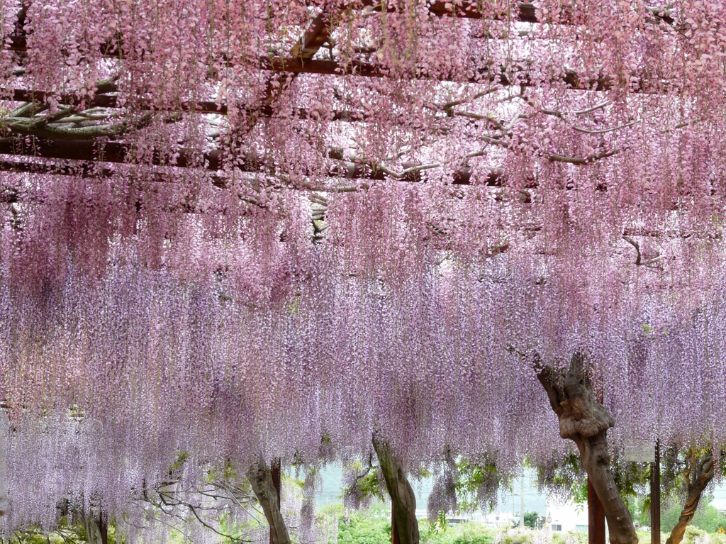 岡山　和気　藤