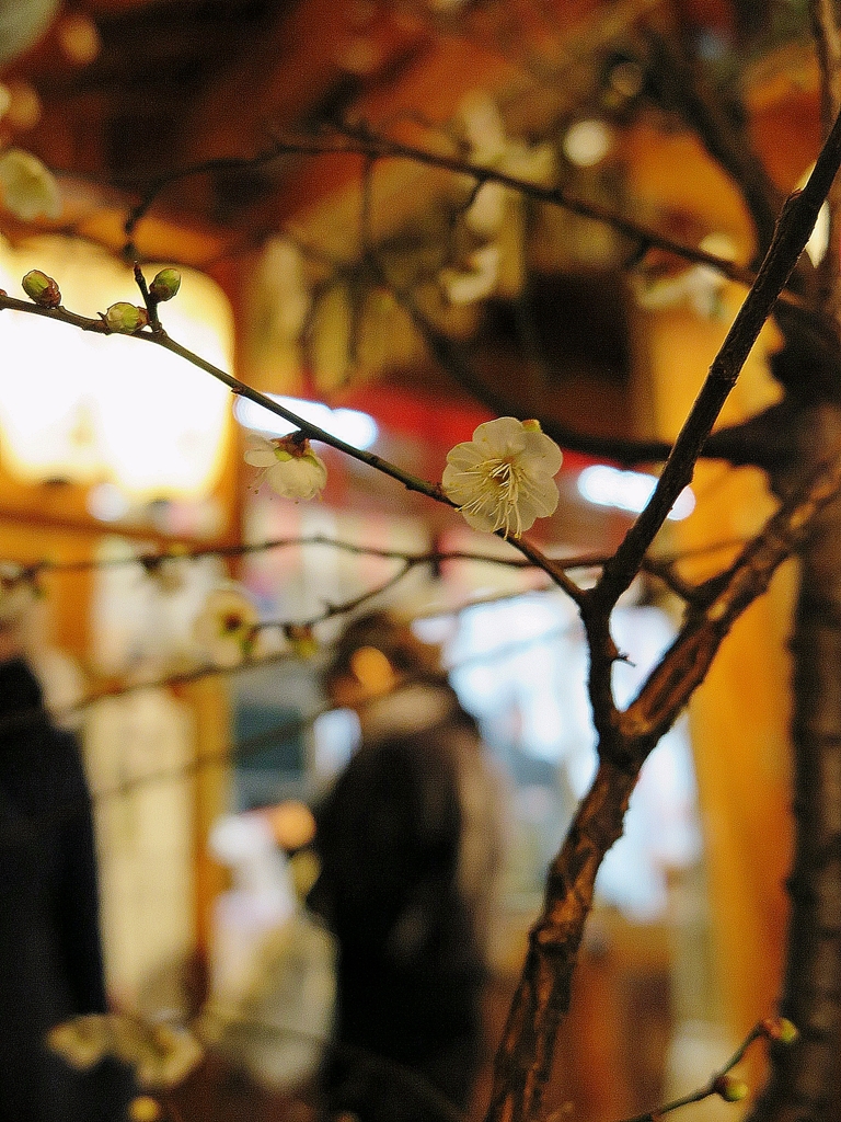 京都 天神様よりのお知らせ