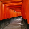 京都 伏見稲荷大社 鳥居の道 