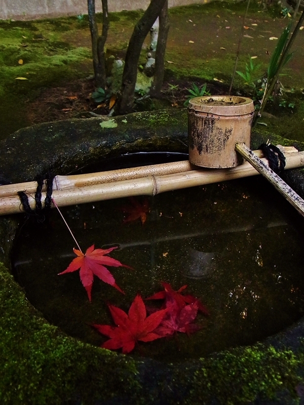 京都　高桐院