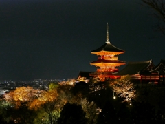 京都 清水寺 桜と三重塔