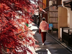 京都 先斗町の秋