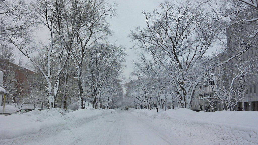 雪、凍りの風景