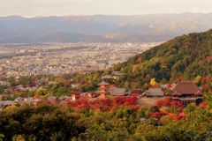 京都 清水寺 秋の鳥瞰図