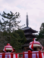 京都 醍醐寺 勝負の始まり