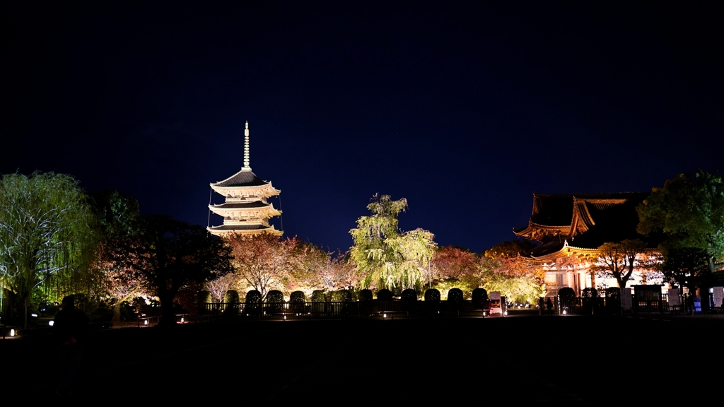 京都 東寺 夜の輝き II