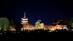 京都 東寺 夜の輝き II