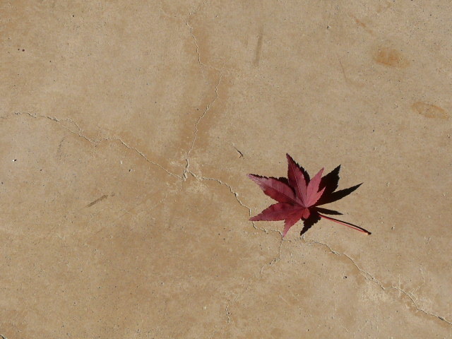 愛知 明治村　紅葉
