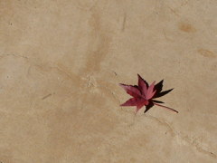 愛知 明治村　紅葉