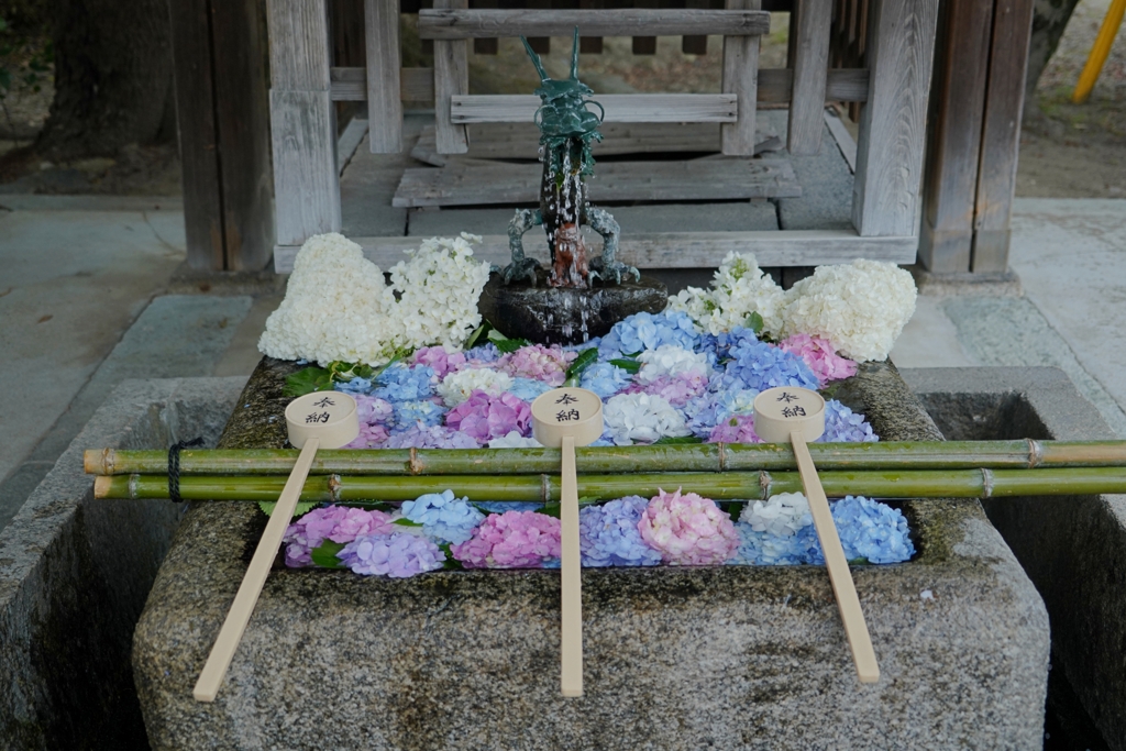 京都 藤森神社 花手水