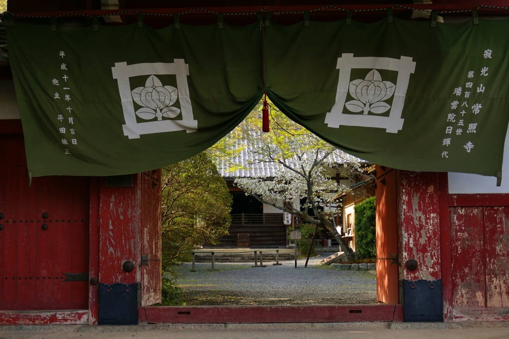 京都 常照寺 門前参道