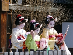 京都 節分祭 祇園甲部による奉納舞踊
