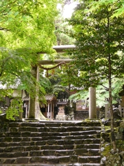 京都 美山 新緑