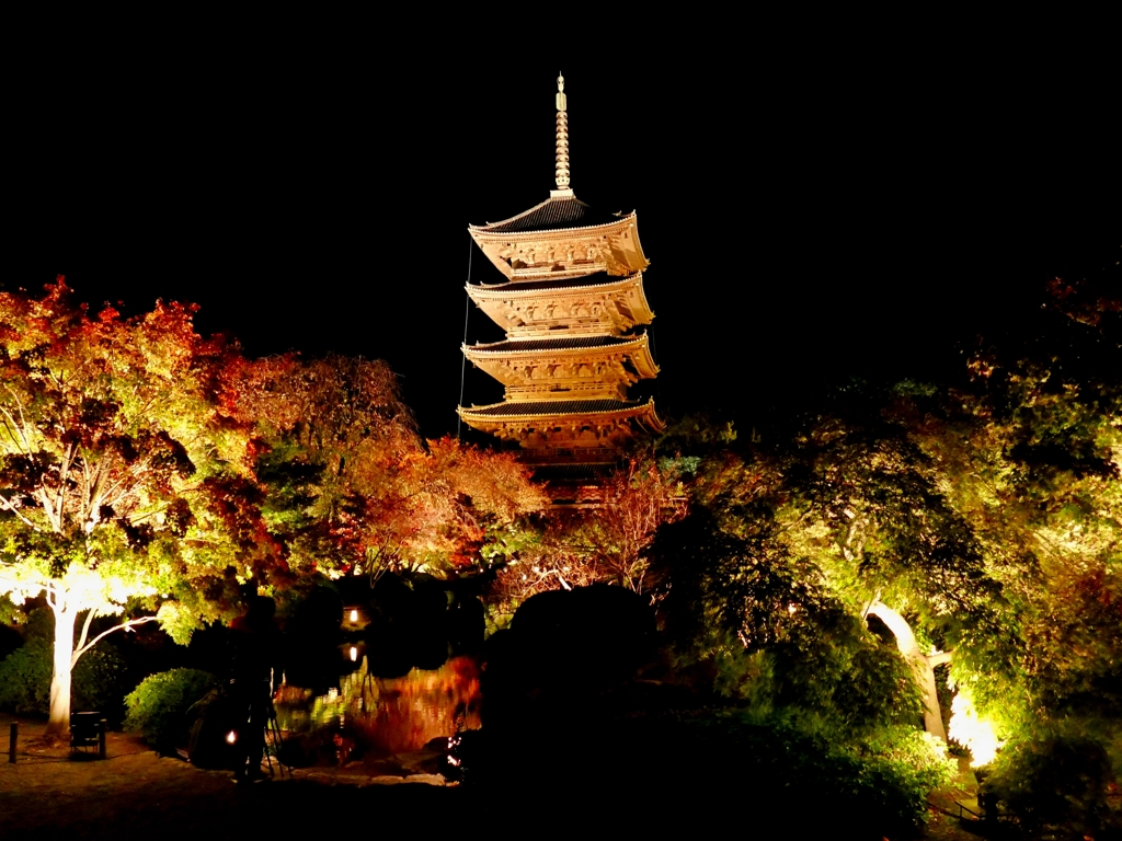京都 東寺 夜の輝き