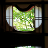 京都 詩仙堂 新緑の映り