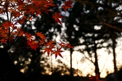 京都 秋の夕日
