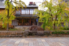 京都 祇園白川の初秋