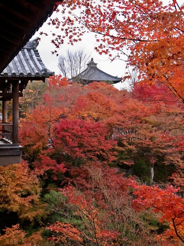 京都　東福寺