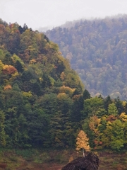 札幌 豊平峡 秋